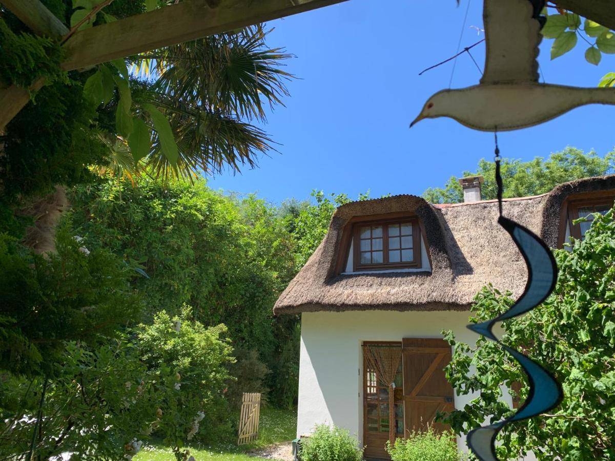 La Flore Marine Saint-Jouin-Bruneval Екстер'єр фото