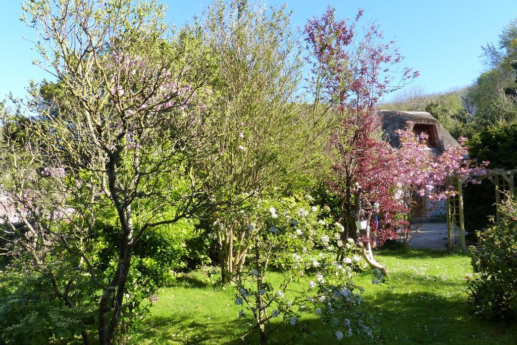 La Flore Marine Saint-Jouin-Bruneval Екстер'єр фото